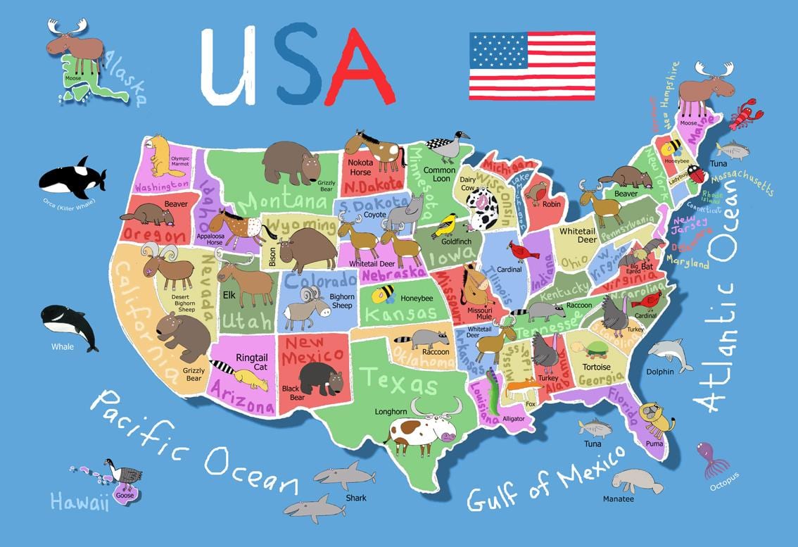 地図の米国の子供のため
