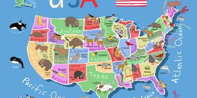 地図の米国の子供のため